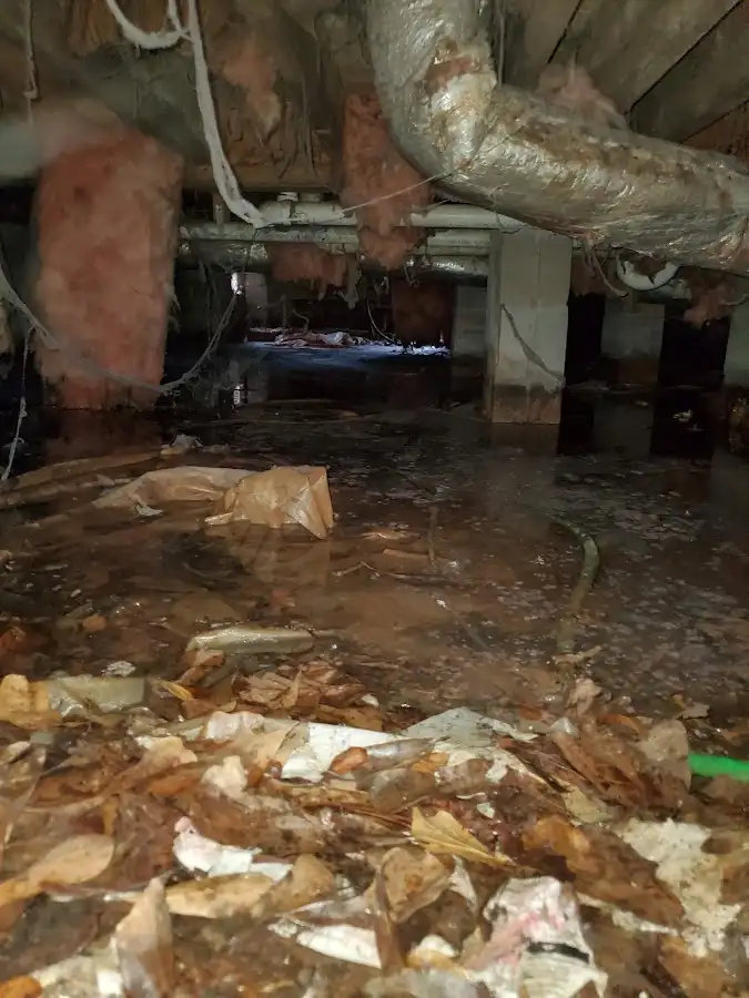 Crawl space flood assessment for Commercial Water Damage Restoration in Bellevue